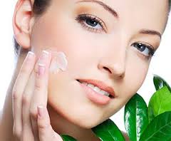 Infrumusetare Farmacia Elfa